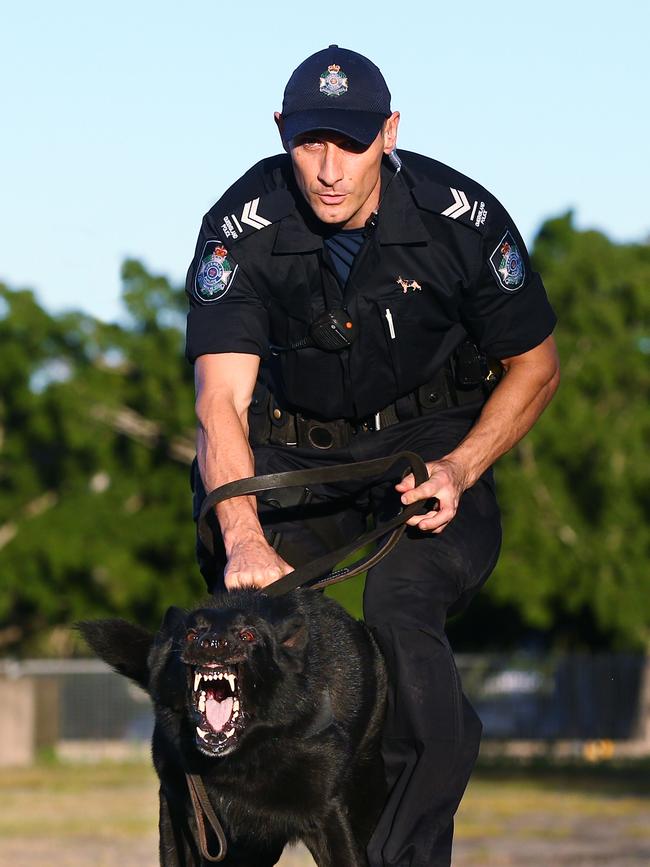 PD Bally shows he is not to be messed with. Picture: Brendan Radke