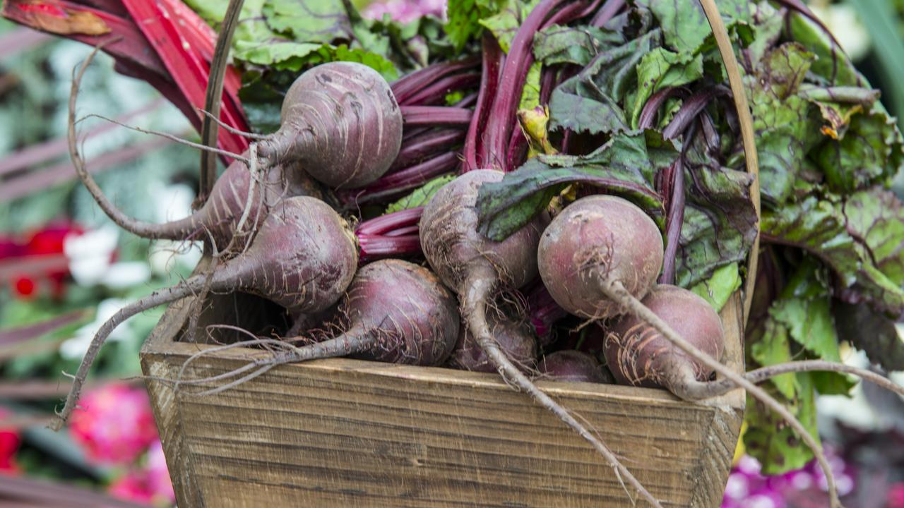Beet Juice Before Workout Boosts Muscular Performance, Study Says