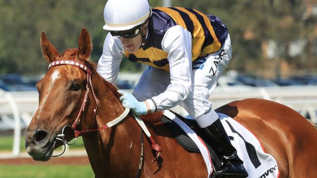 Gailo Chop scored a dominant win in the Ranvet Stakes on Golden Slipper Day. Picture: Getty Images