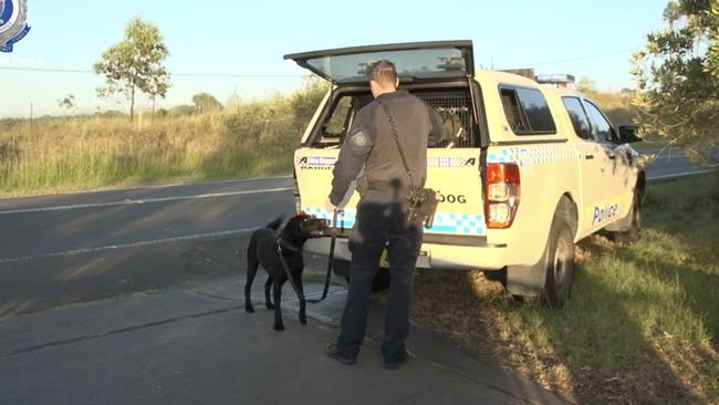 Police sniffer dog at a house in Denham Court. Picture: NSW Police