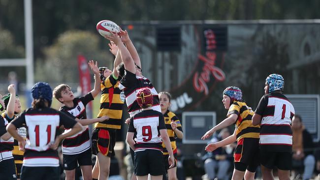 Central Coast v West Harbour.