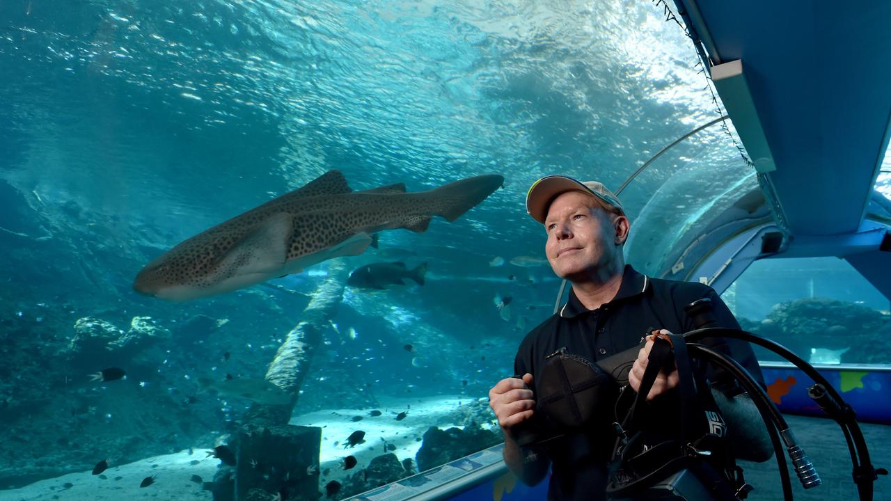 Behind the scenes at Reef HQ. Reef Education Officer Craig McGrogan. Picture: Evan Morgan