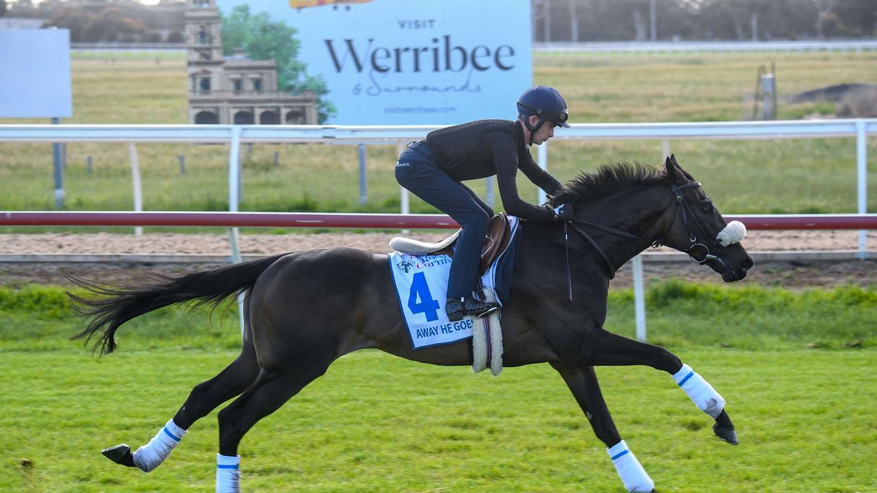 Away He Goes during trackwork at Werribee Racecourse. Brett Holburt/Racing Photos via Getty Images