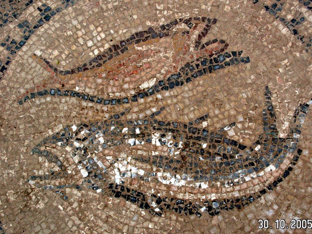 It includes an illustration of two fish – reinforcing the symbol as an early icon of the Christian religion. Picture: Israel Antiquities Authority/AP