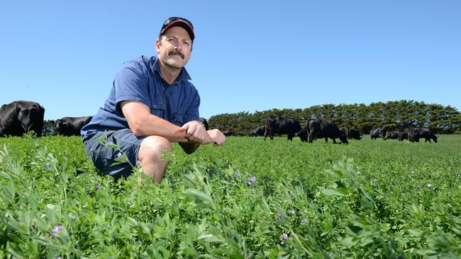 Victorian Farmers Federation Mornington Peninsula branch president Eddie Matt has called for the government to do more to protect the green wedge. Picture: Jason Sammon