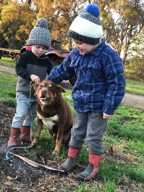 The Weekly Times Day of Dogs 2018 #dayofdogs18 Dennis and Samantha Reynolds from Orbost sent in this picture of their kids Fletcher and Hudson with Kelpie Rusty. They say Rusty's second love (after his family) is chasing the sprinklers on the irrigation lines!