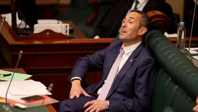 Labor MP Tom Koutsantonis. Picture: NCA NewsWire / Kelly Barnes