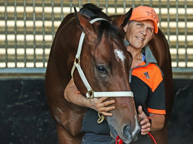 HOLD FOR JUNE 10. Horse trainer Desleigh Forster with Stradbroke fancy Apache Chase at her racing stables at Eagle Farm ahead of the Stradbroke Handicap.  Picture: Zak Simmonds