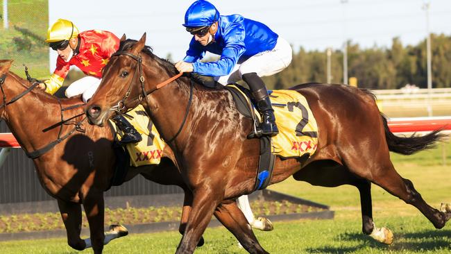 Anamoe can give trainer James Cummings his third win in the Golden Rose. Picture: Getty Images)