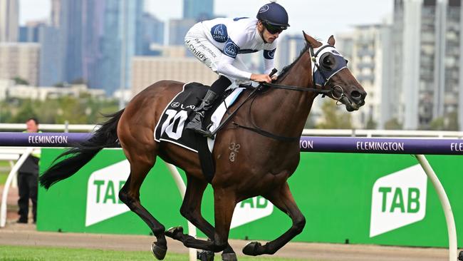 Goldman is a $15 chance in the Melbourne Cup. Picture: Getty Images.