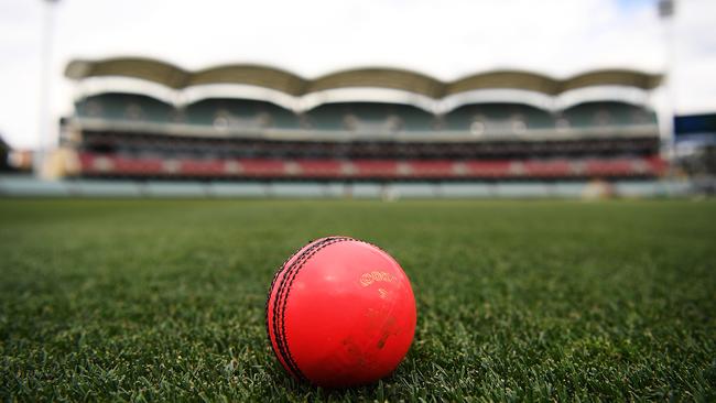 The pink ball can save Test cricket. Picture: Daniel Kalisz/Getty