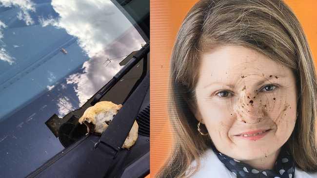 A pie smeared across the wind screen of Sharon Lohse's car and her damaged election signs. Photo: Contributed