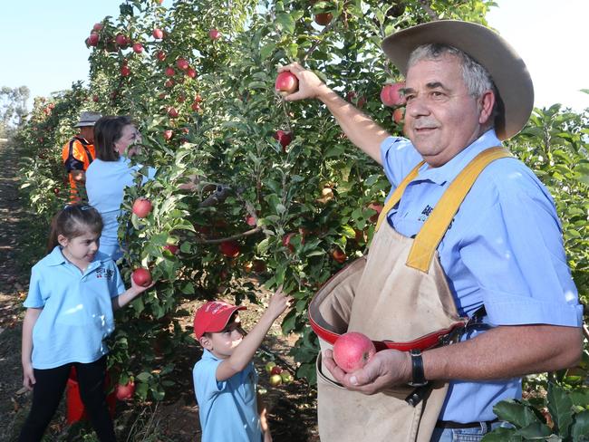 Orchardist Guy Gaeta with his family including son, Michael, wife, Sim and grandchildren Alexis and Owen. Picture: Steve Gosch