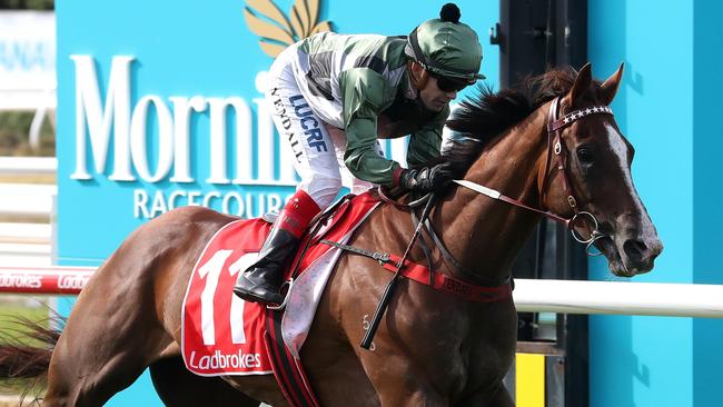 Caulfield Cup favourite KIngs Will Dream will carry 53kg in the big race. Picture: AAP