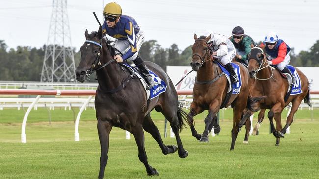 Bindi's Choice is Shayne O'Cass's best value bet at Hawkesbury on Tuesday. Picture: Bradley Photos