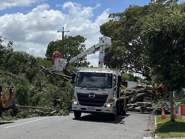 Crews at Reeve St, Clayfield in Brisbane, clearing a fallen tree blocking the road from storms overnight. Picture: Callum Twiddle