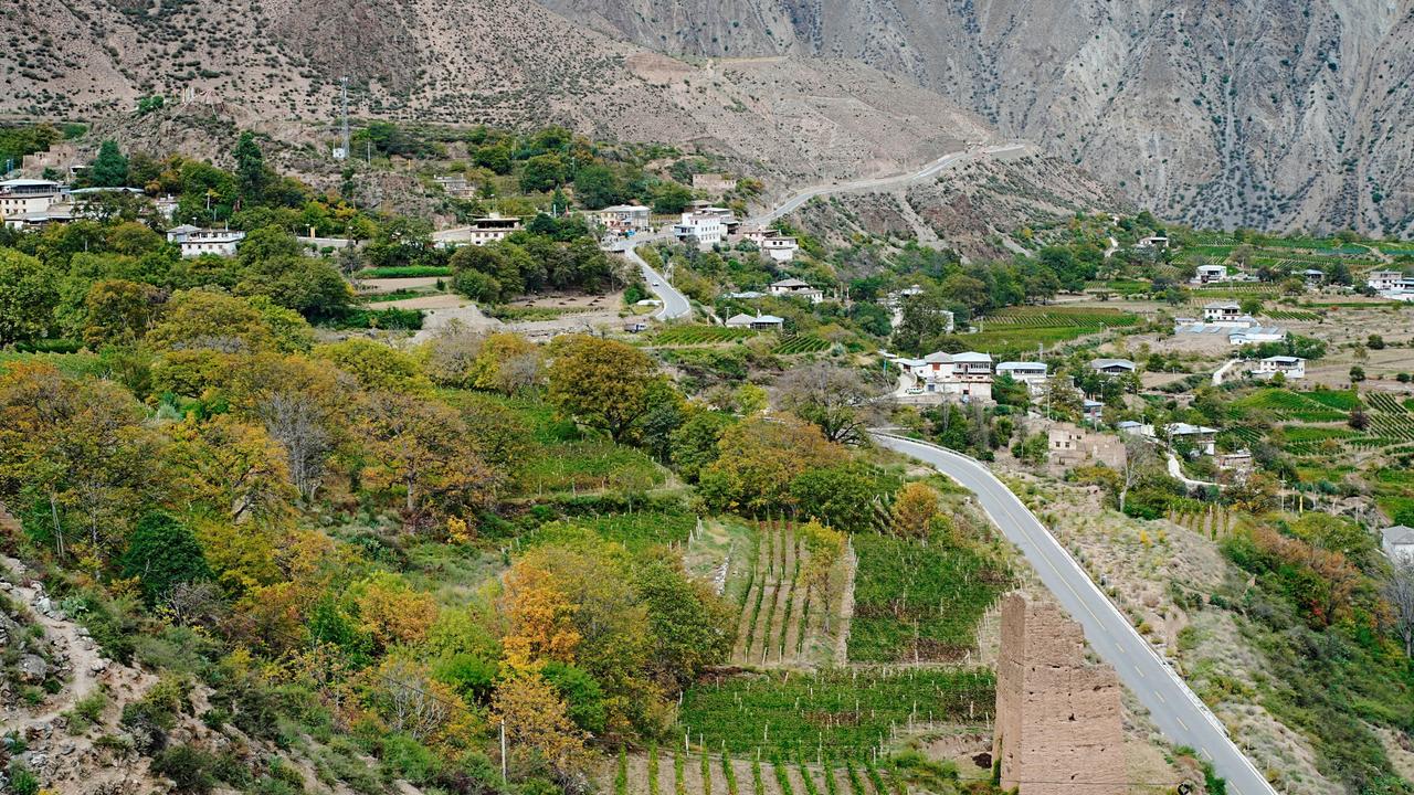 Penfolds’ vineyards in China.