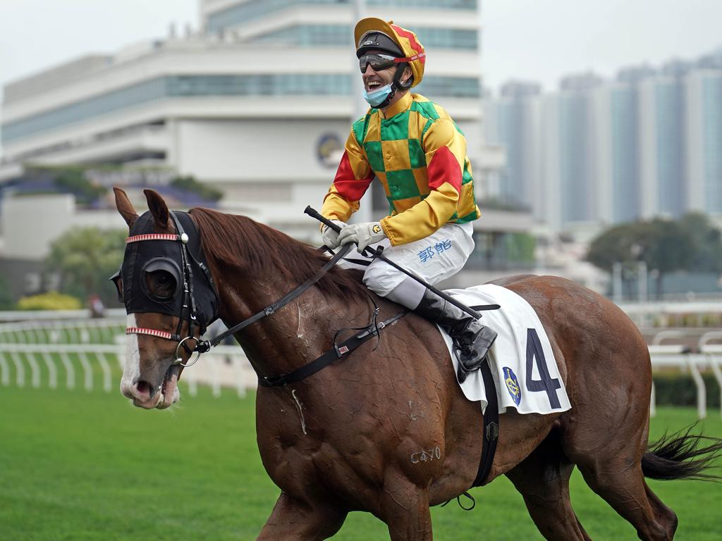 Mighty Giant is a seven-time winner in Hong Kong. Picture: HKJC