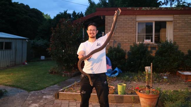 Mark Pelley with the python he rescued from a house in Wantirna South.