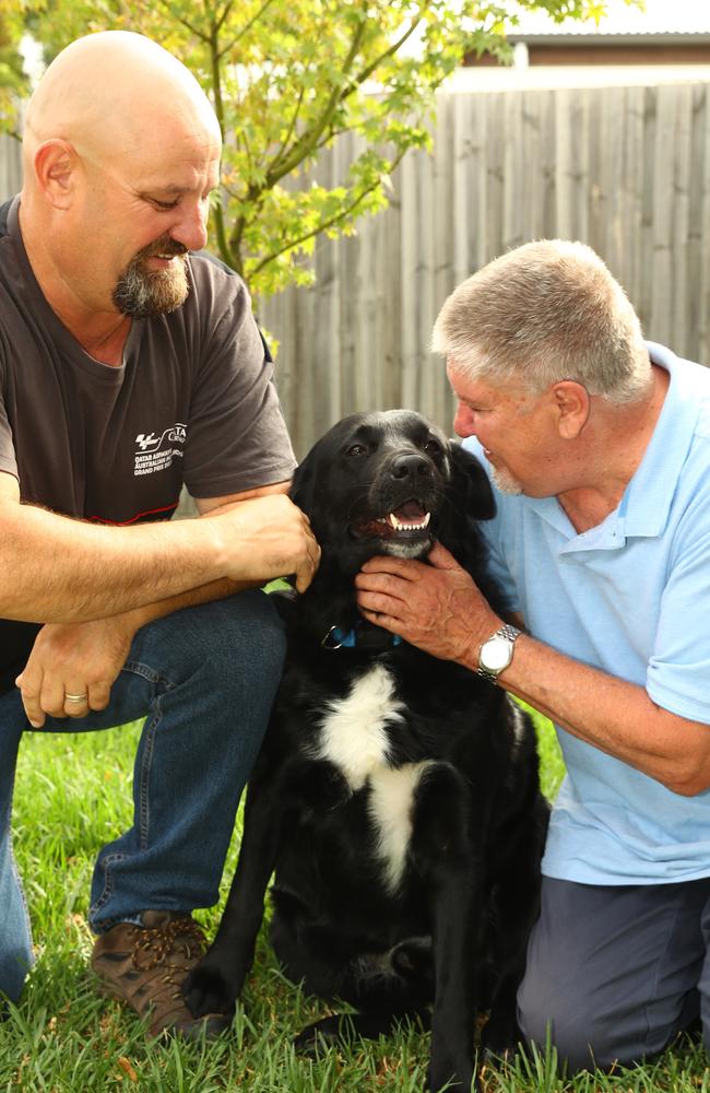 Sully the dog reunited with his owner Michael Mugge, right, and Danny Parkyn who rescued him after he went missing. Picture: Alison Wynd