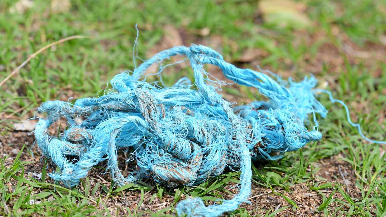 Hay string after being chewed by a beast at Greymare. Picture: Gerard Walsh