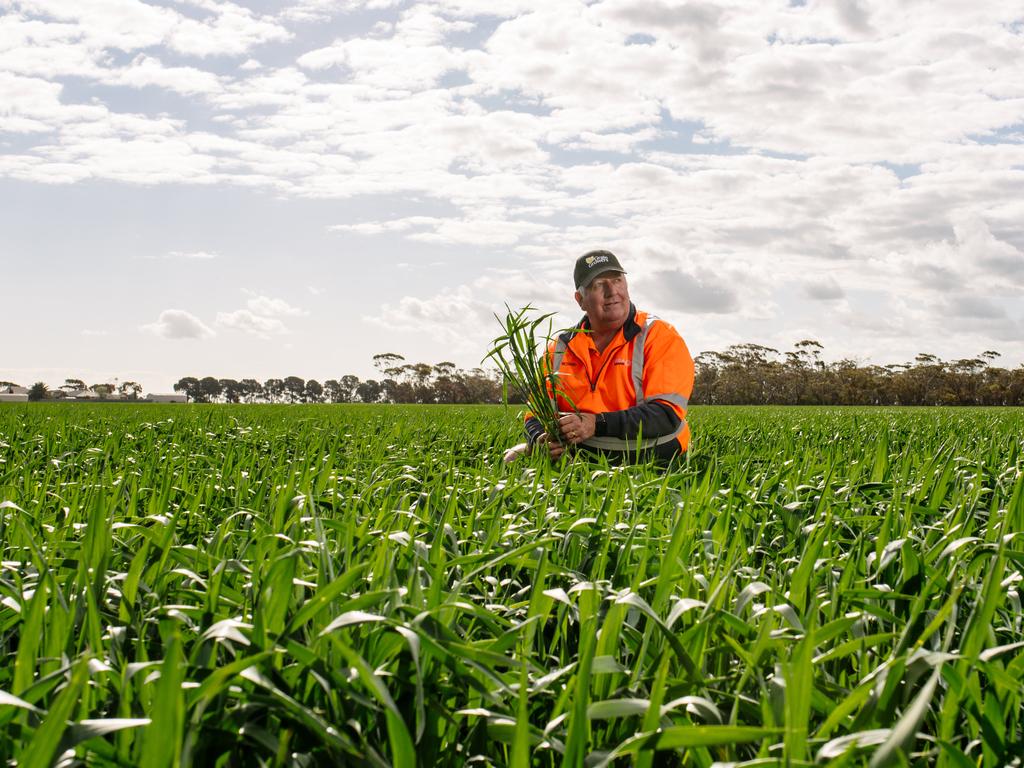 Farmers to reap record bumper crop