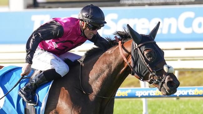 Esti Feny is chasing back-to-back Gosford Gold Cups. Picture: Scott Barbour/Racing Photos via Getty Images