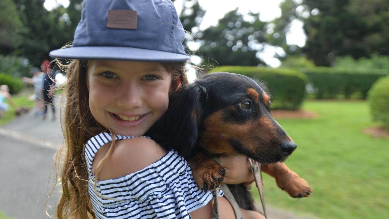 Ruby Galletly-Hope, 9, with Franky the daschund at the Million Paws Walk at Mackay Regional Botanic Gardens.