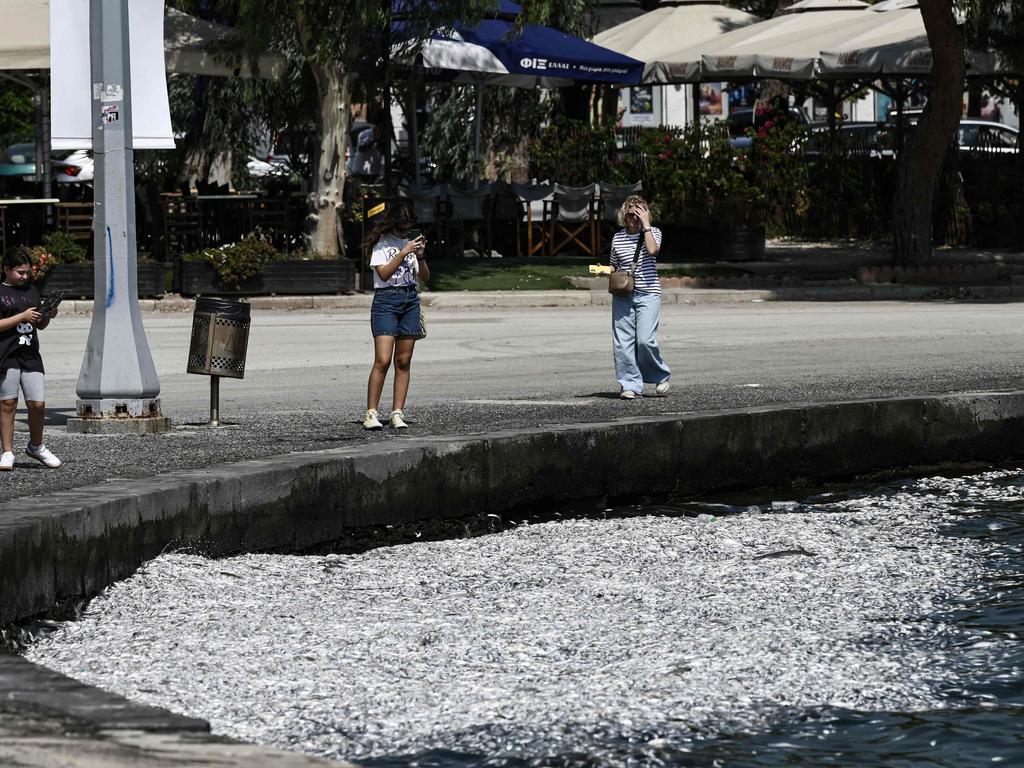 People take pictures of dead fish floating. Picture: Sakis Mitrolidis/AFP