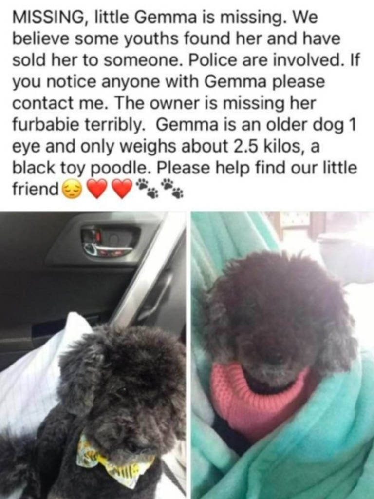 Desperate posts on social media looking for Gemma.