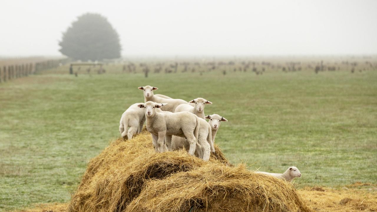 Fodder reserves take a dive