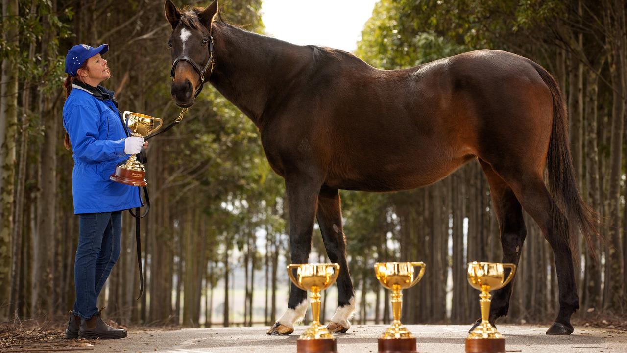 THE QUEEN: Three-time Melbourne Cup winner Makybe Diva. Picture: Mark Stewart.