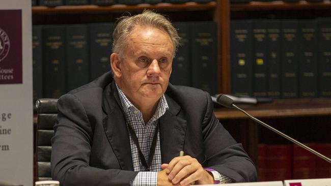 Ms Deves represented the group at a hearing of the Education Committee of the NSW Legislative Council, chaired by NSW One Nation Leader Mark Latham. Picture: NCA NewsWire / Christian Gilles