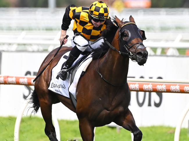 MELBOURNE, AUSTRALIA - FEBRUARY 20:  Damian Lane riding Probabeel to win race 6, the Lamaros Sth Melbourne Futurity Stakes, during Blue Diamond Stakes Day at Caulfield Racecourse on February 20, 2021 in Melbourne, Australia. (Photo by Vince Caligiuri/Getty Images)