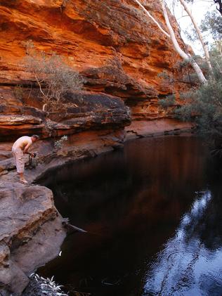 The Garden of Eden at Kings Canyon.