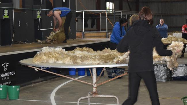 Sheep shearing was one of the most recognised Agricultural events at the Warrnambool Show.