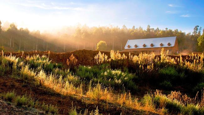 Stonebarn Estate boasts an on-site 2,000+ tree truffiére.