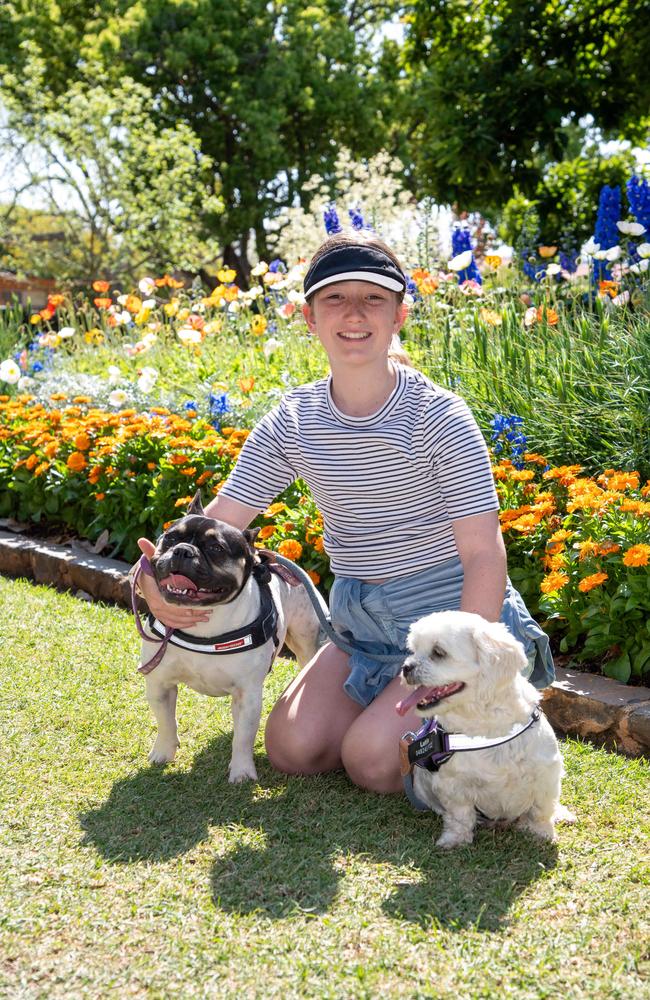 Ella Leggatt with Hank (left) and Lottie enjoying Laurel Bank Park during the Carnival of Flowers, Sunday, September 22, 2024. Picture: Bev Lacey