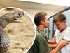 Weapons, drugs, arrests … snakes: Scariest incidents in SA schools
