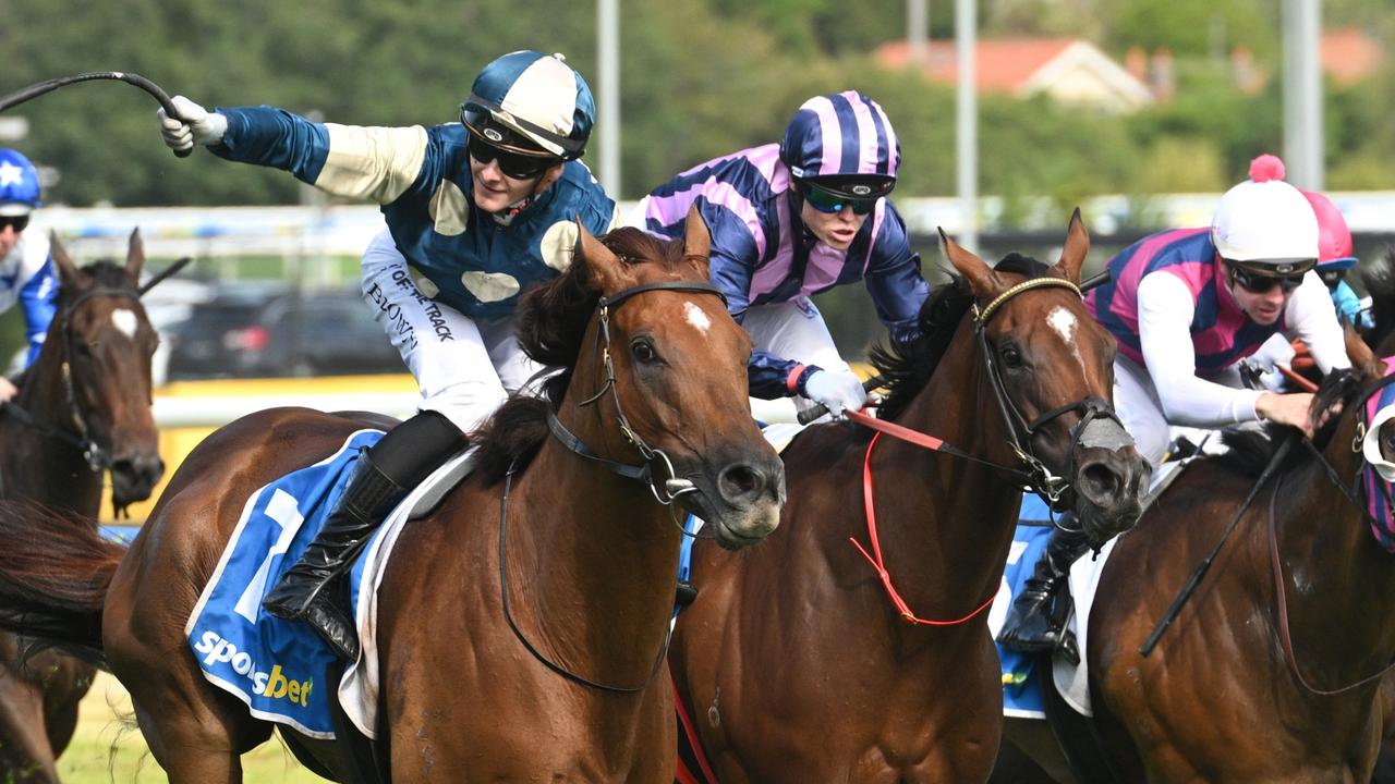 Jimmysstar blows away Oakleigh Plate rivals