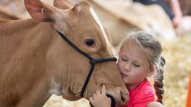 Hazel Anderson, 5. Picture: Rob Leeson