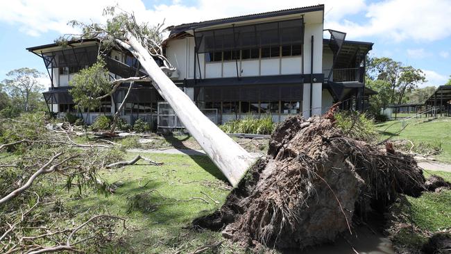 Trees down at Helensvale Primary School. Picture: Glenn Hampson