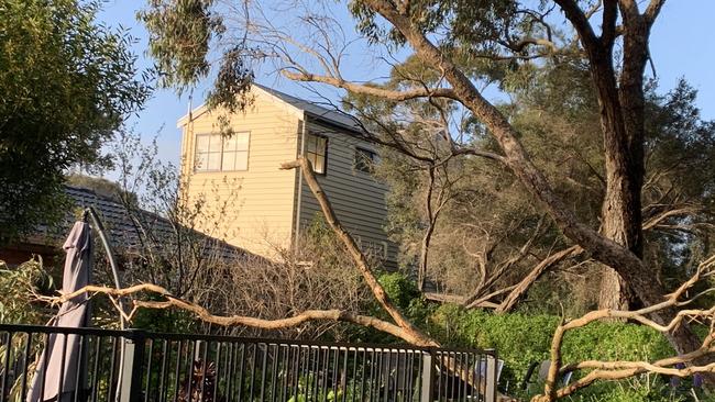 A tree has fallen on a property fence in Queenscliff. Picture: Supplied.
