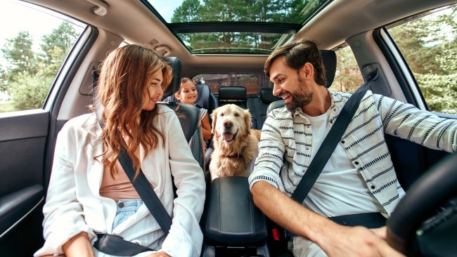 11 best products for travelling with pets