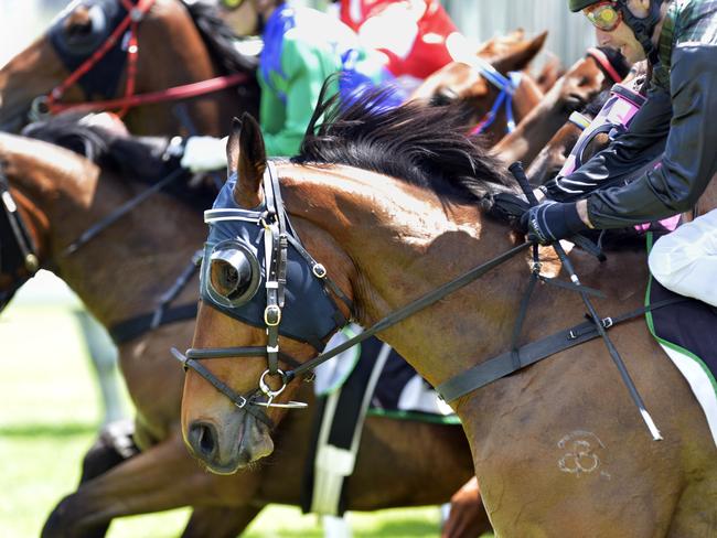 Neurum Road jumps out of the gates in the Higer Bus & Coach Handicap 1700m at the Bundamba Race track on Friday, December 14.Photo: Claudia Baxter / The Queensland Times