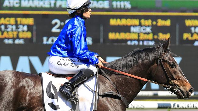 Criaderas is a popular pick at Royal Randwick. Picture: Getty Images