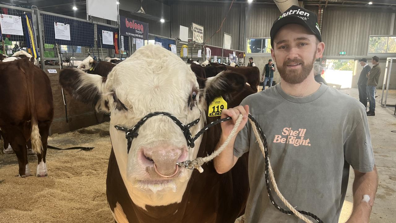 Herefords top at $44,000 at Wodonga