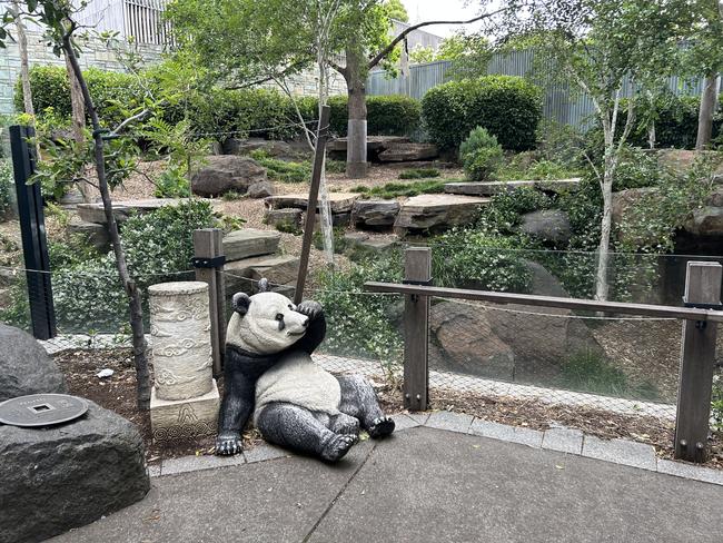 Adelaide Zoo’s panda enclosure is protected by an electrified wire, which the boy touched while going to retrieve his phone. Picture: Zoos SA