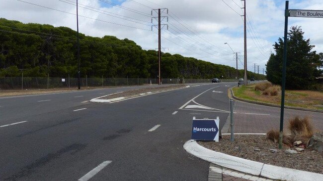 The entrance to the Flagstaff Pines Estate on Black Road with the pine plantations to the side. Picture: Michael Butt.