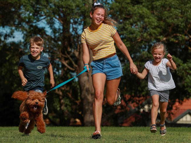 Noah Hughes, 7, Olivia Rogers, 14, and Eleanor Hughes, 5, with Cavoodle Arlo. Picture: Justin Lloyd